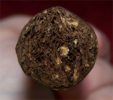 Oliva Serie V Maduro Especial - 2